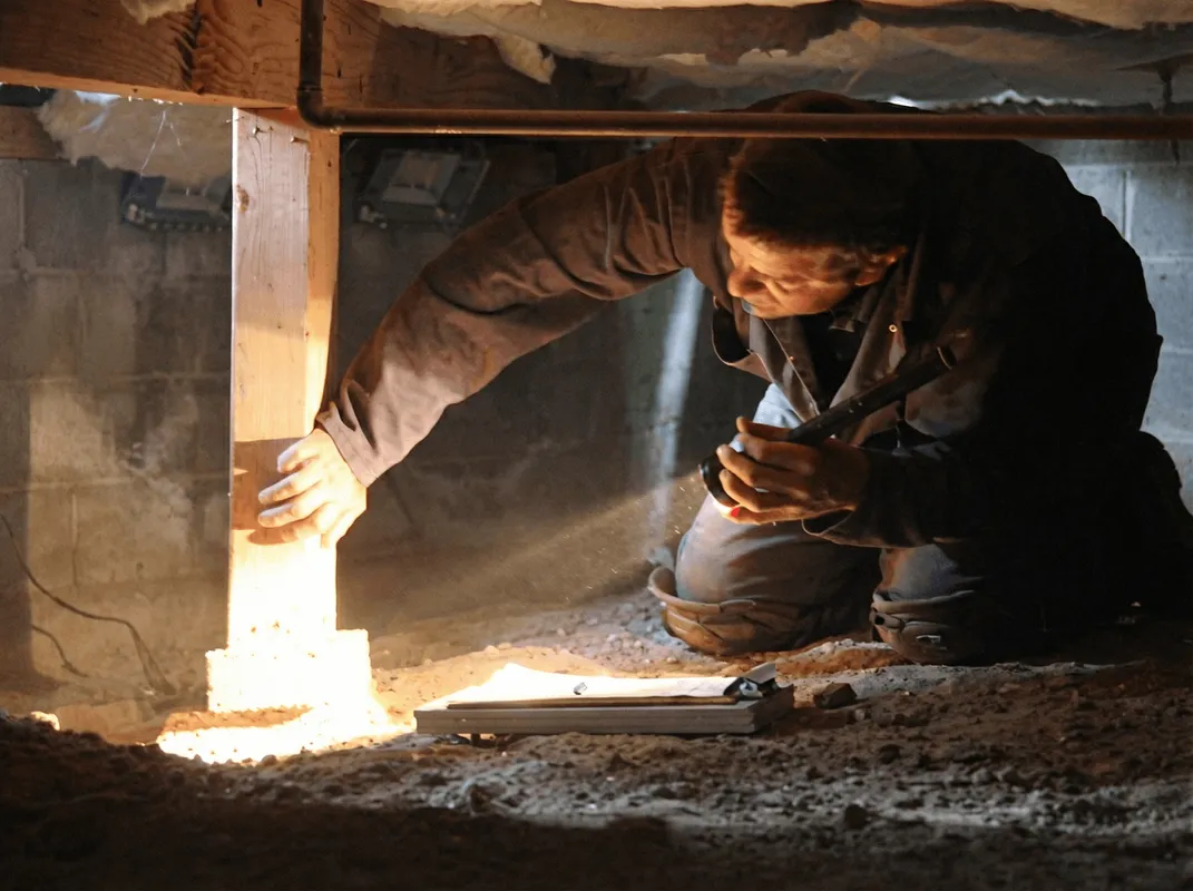 A professional inspecting wooden beams under the floor of a structure in Stockton, CA